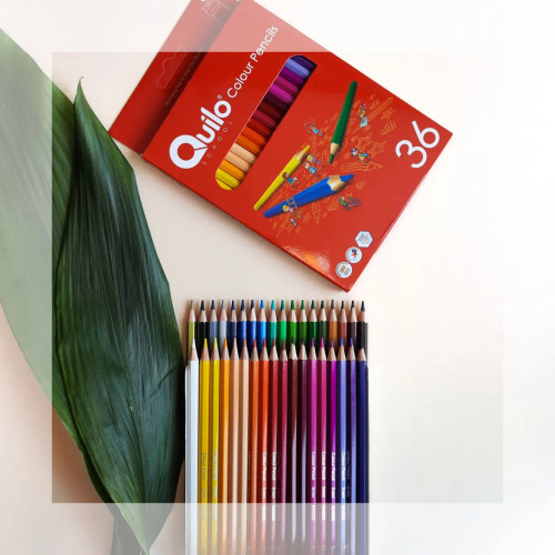 مداد رنگی 36 رنگ کوییلو