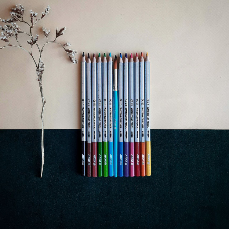 مداد آبرنگی 12 رنگ آریا آرتیست - نوشت افزار اکباتان